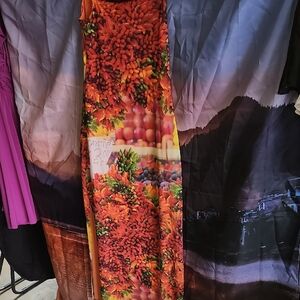 Nwt Zara Floral Maxi Dress - Red and Green